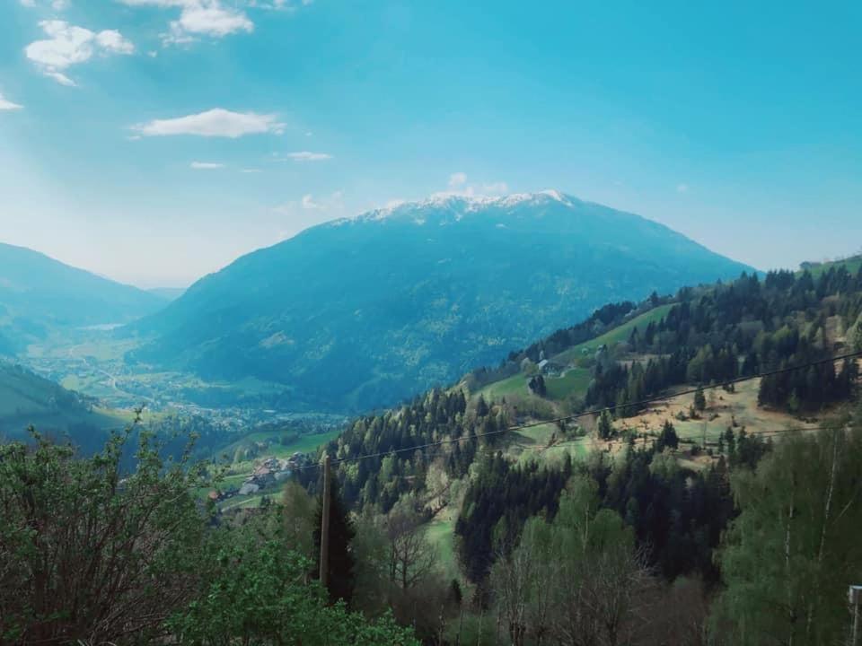 فيلا Bauernhof Oberfriessnig رادينثين المظهر الخارجي الصورة